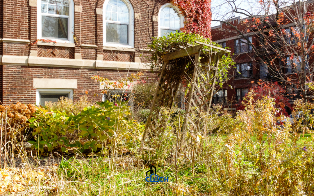 Whatever the Condition: Overgrown or Neglected Landscaping