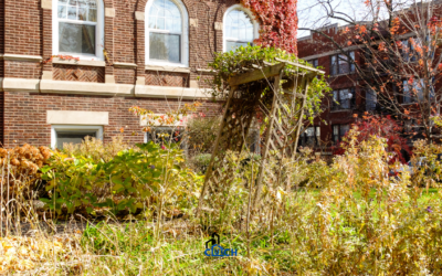 Whatever the Condition: Overgrown or Neglected Landscaping